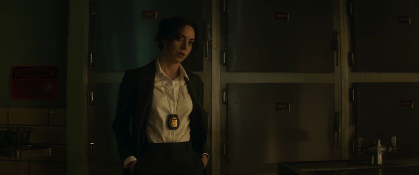 Aubrey plaza leaked private photo uncensored HD quality