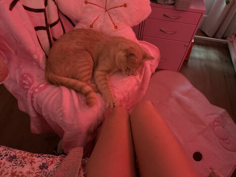 Beebee asmr page leaked private photo uncensored HD quality