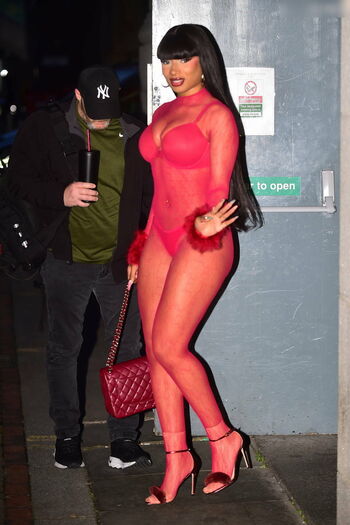 Megan thee stallion  page leaked private photo uncensored HD quality