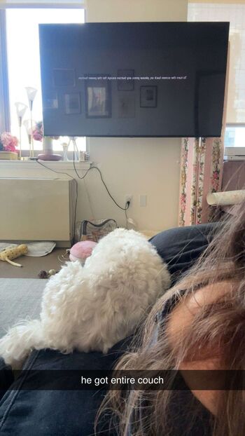 Sara dobrik page leaked private photo uncensored HD quality