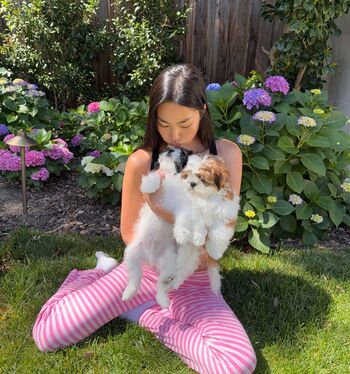 Shannon zhao page leaked private photo uncensored HD quality